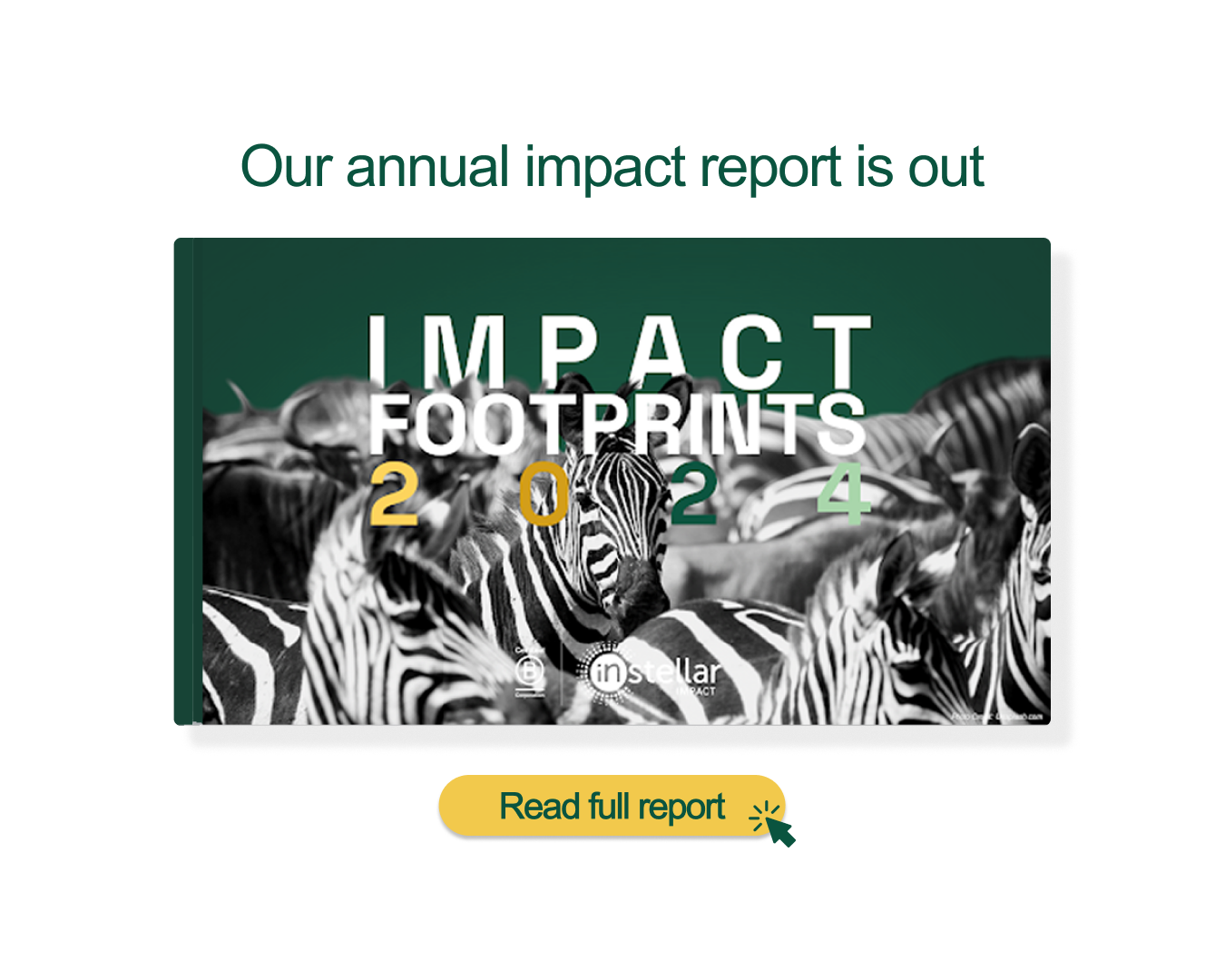 Footprints 2024