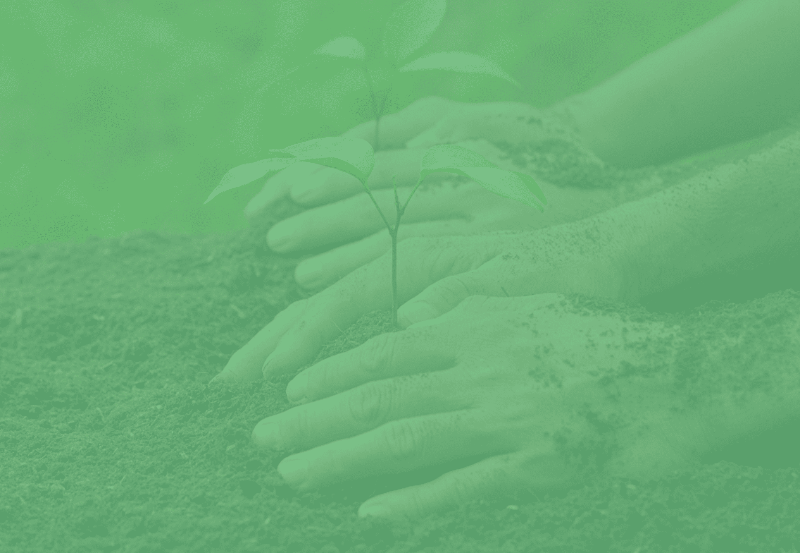 banner-section-4