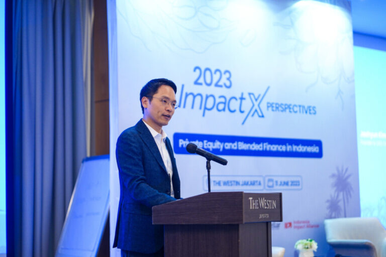 Impact-X-Perspectives-2023-06586-1
